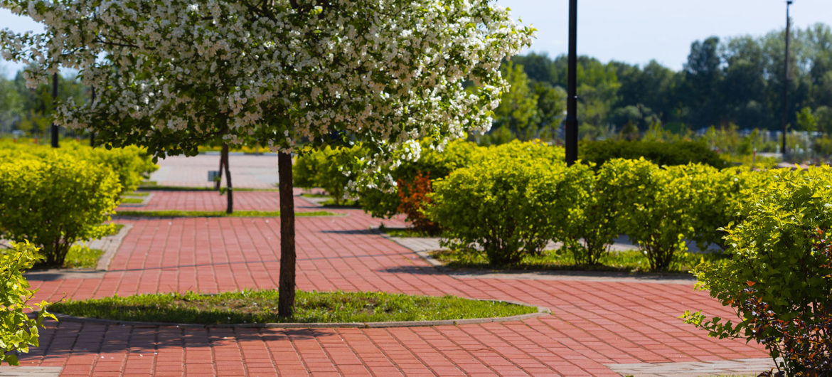 The Washington State Community College (WSCC) Foundation is paving the way for brighter futures for incoming students with a brick campaign to honor the 50th anniversary of the college.