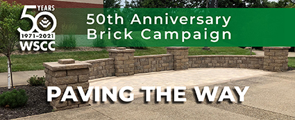 Brick Campaign